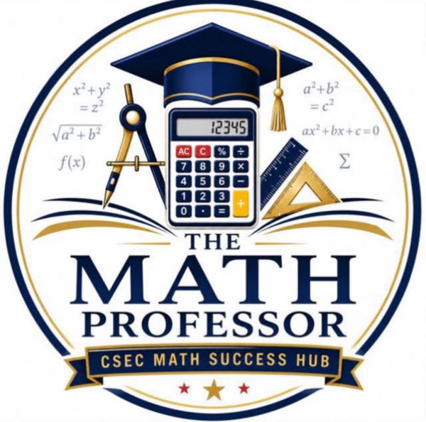 The Math Professor